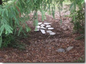 Pic: "burial site under redwood grove" - Size: 21k